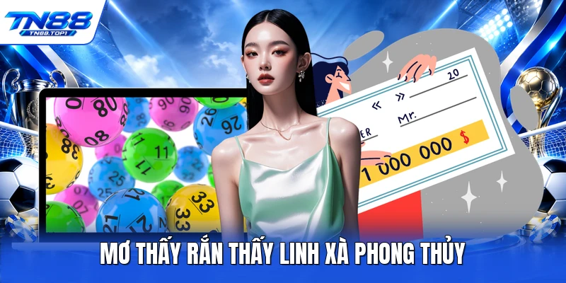 Mơ thấy rắn thấy linh xà phong thủy Mơ thấy rắn thấy linh xà phong thủy